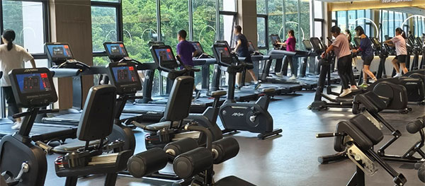 Gymnasium